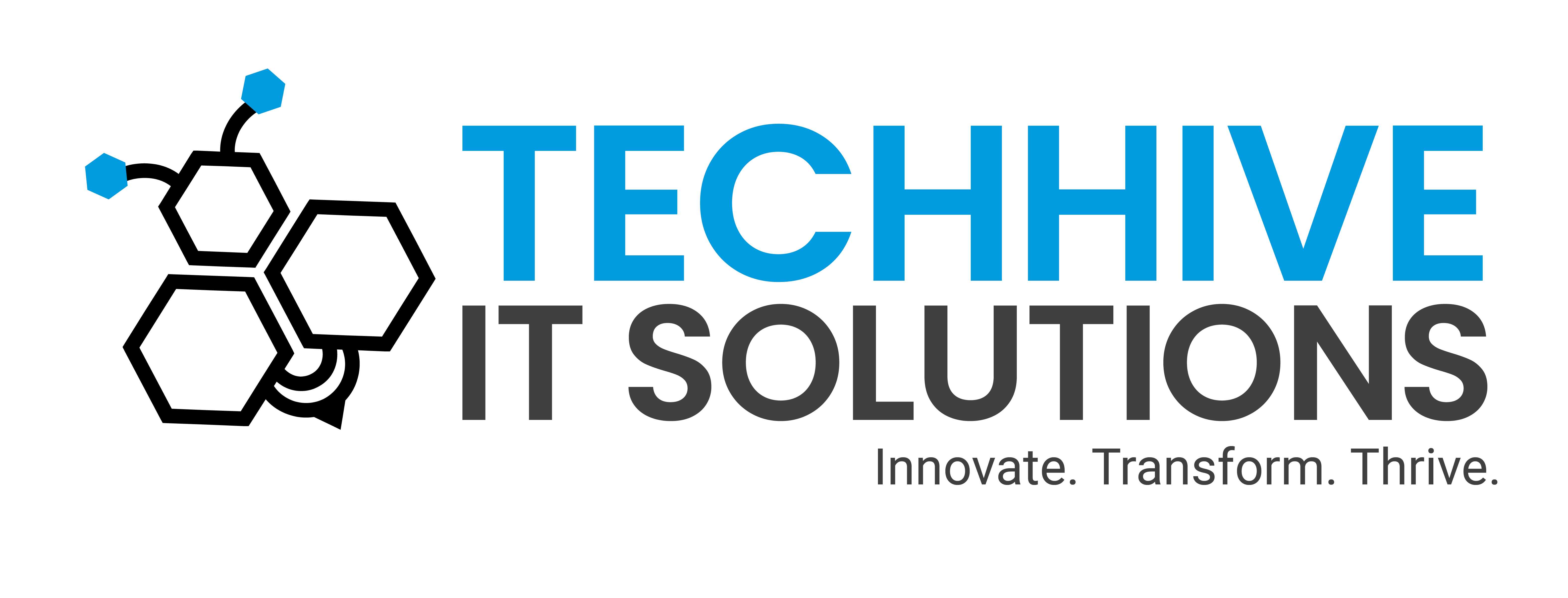 TechHive IT Solution